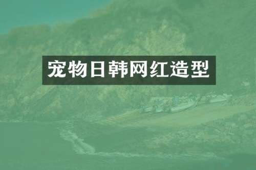 宠物日韩网红造型