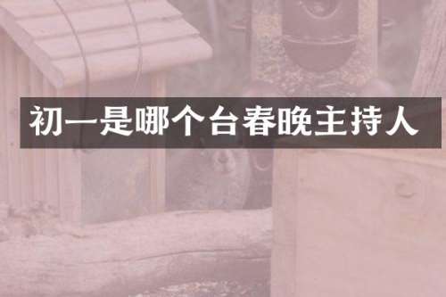 初一是哪个台主持人