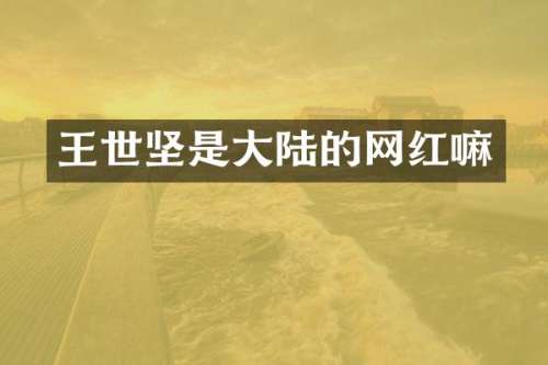 王世坚是大陆的网红嘛
