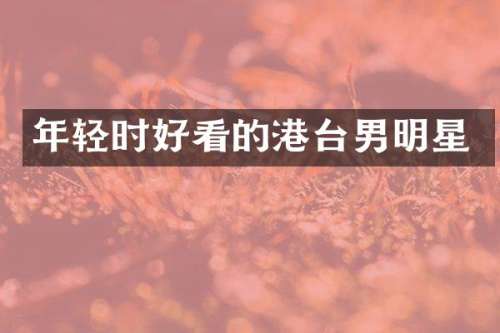 年轻时好看的港台男明星