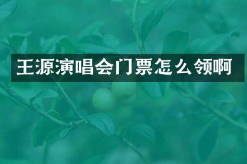 王源演唱会门票怎么领啊
