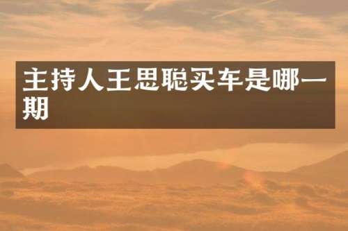 主持人王思聪买车是哪一期