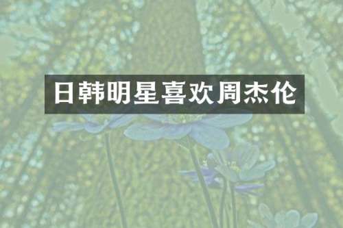 日韩明星喜欢周杰伦