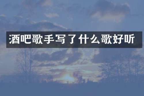酒吧歌手写了什么歌好听