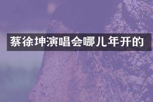 蔡徐坤演唱会哪儿年开的