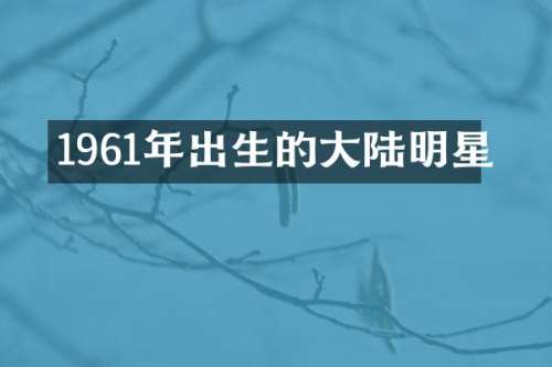 1961年出生的大陆明星