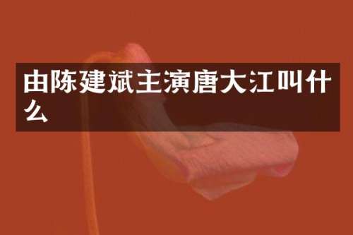 由陈建斌主演唐大江叫什么