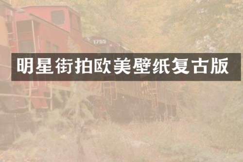 明星街拍欧美壁纸复古版