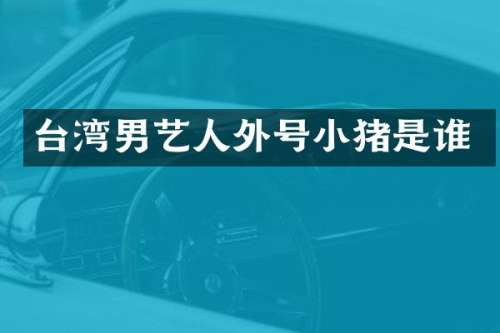 台湾男艺人外号小猪是谁