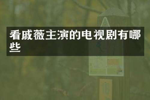 看戚薇主演的电视剧有哪些
