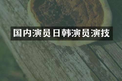 国内演员日韩演员演技