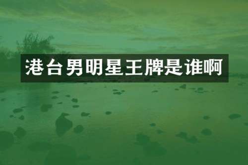 港台男明星王牌是谁啊