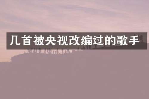 几首被央视改编过的歌手