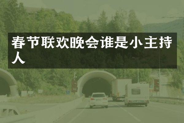 春节联欢晚会谁是小主持人