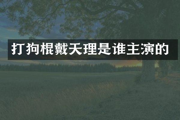 打狗棍戴天理是谁主演的