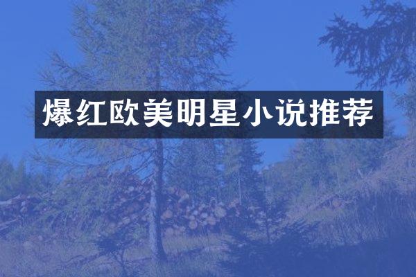 爆红欧美明星小说推荐