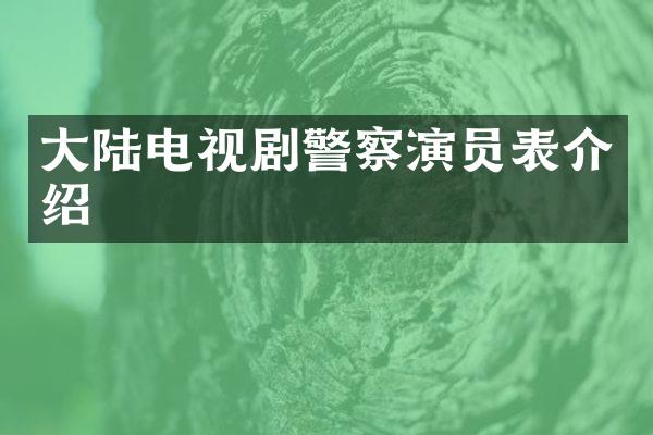 大陆电视剧警察演员表介绍