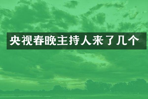 央视主持人来了几个