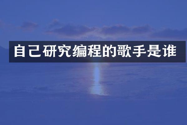 自己研究编程的歌手是谁