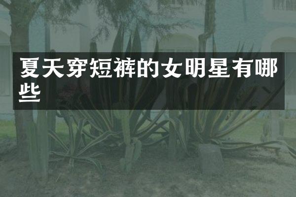 夏天穿短裤的女明星有哪些