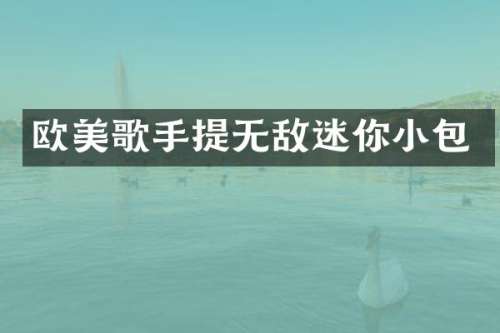欧美歌手提无敌迷你小包