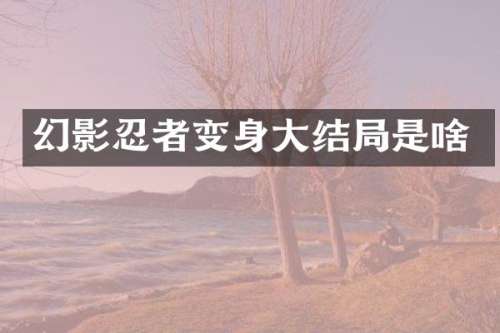 幻影忍者变身大结局是啥