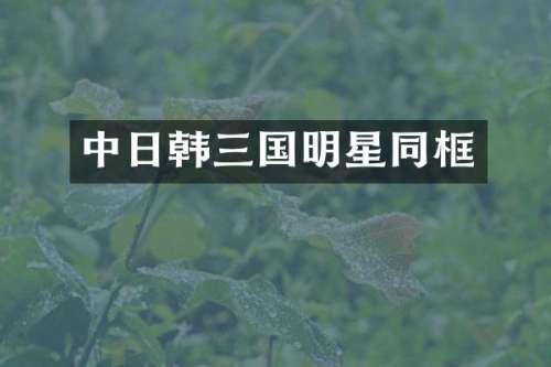 中日韩三国明星同框