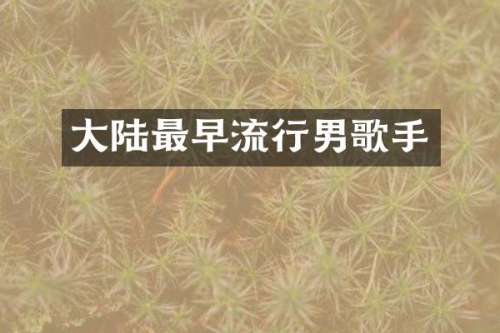 大陆最早流行男歌手