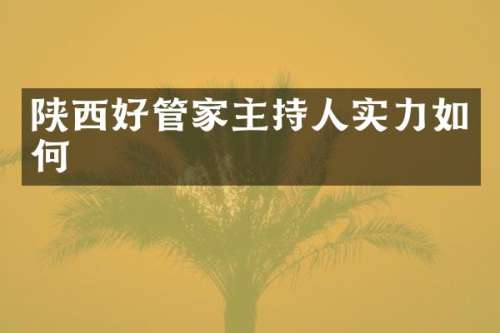 陕西好管家主持人实力如何