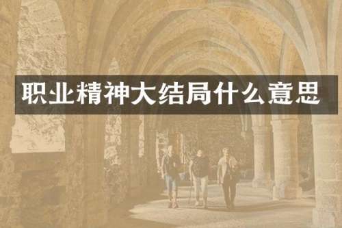 职业精神大结局什么意思