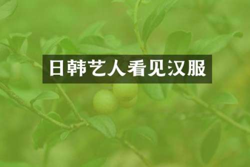日韩艺人看见汉服