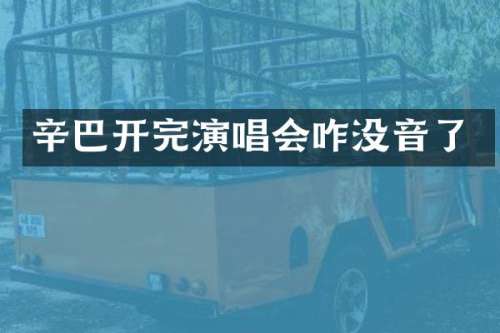 辛巴开完演唱会咋没音了