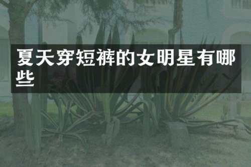夏天穿短裤的女明星有哪些