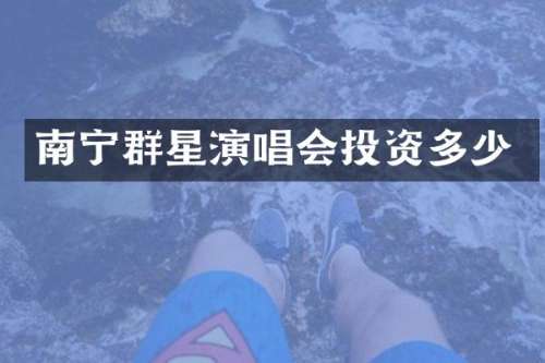 南宁群星演唱会投资多少