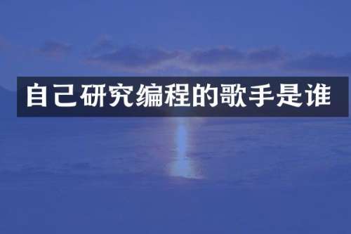自己研究编程的歌手是谁