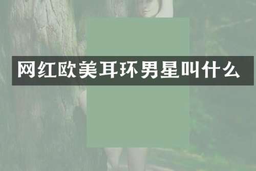 网红欧美耳环男星叫什么