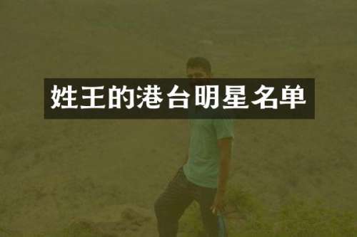 姓王的港台明星名单