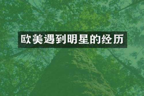 欧美遇到明星的经历