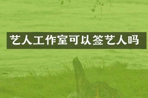 艺人工作室可以签艺人吗