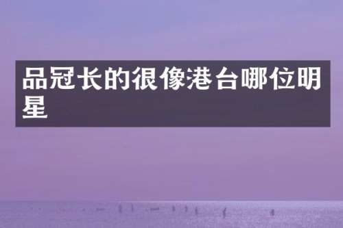 品冠长的很像港台哪位明星