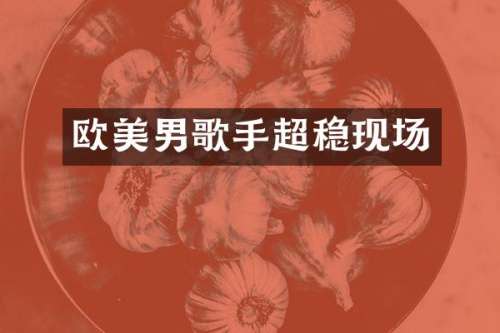 欧美男歌手超稳现场