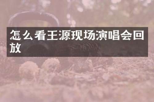 怎么看王源现场演唱会回放