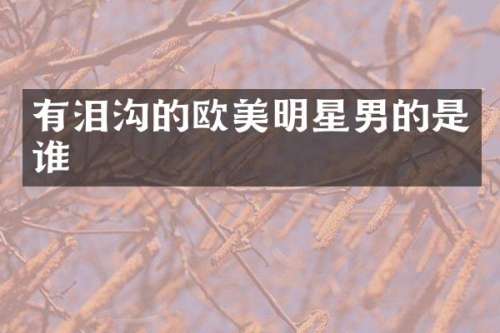 有的欧美明星男的是谁