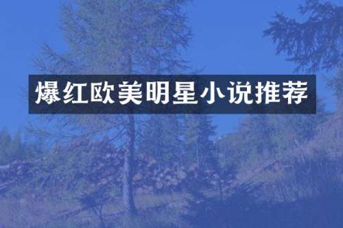 爆红欧美明星小说推荐
