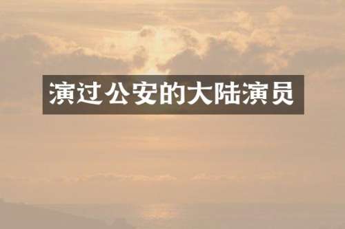 演过公安的大陆演员