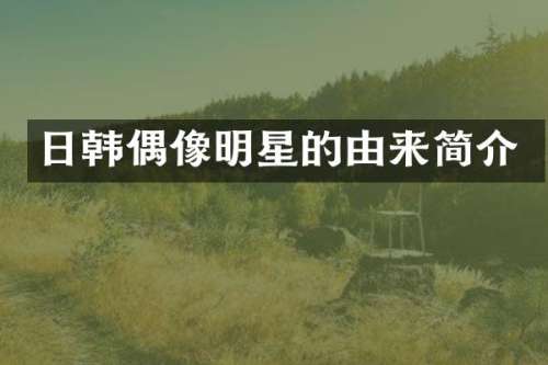 日韩偶像明星的由来简介