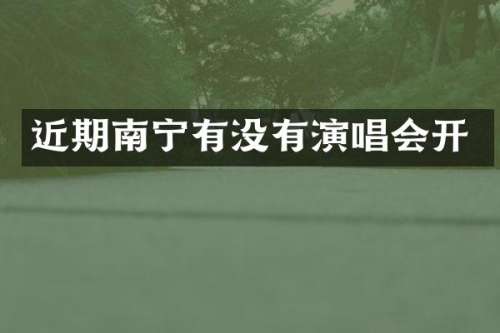 近期南宁有没有演唱会开