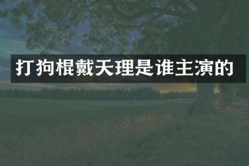 打狗棍戴天理是谁主演的