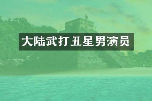 大陆武打丑星男演员
