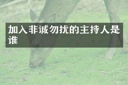 加入非诚勿扰的主持人是谁